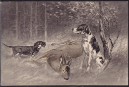 Gest. Einladung Zur Jagd 1907 Zwickau - Hunting