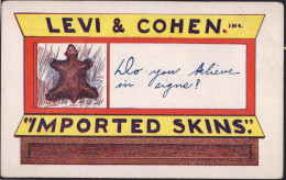 Levi & Cohen Imported Skins, Amerikanische Juden-Propaganda - Judaisme