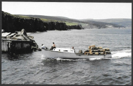 McKenzie Point  Nouvelle Écosse - Pêche Aux Homards 18 Juillet 1974 - Photo Jean Trudel - Éditeur Jocelyn Paquet - Autres & Non Classés