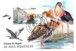 Bloc Feuillet Faune D'angola As Aves Aquaticas Netta Rufina Philomachus Pugnax Oiseaux - Angola