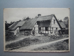 Camp D'Elsenborn - Vieille Maison Typique De L'Eifel - Elsenborn (camp)