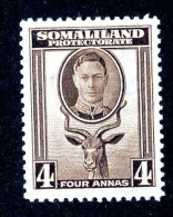 7047 BCx 1942 Scott #100 Mnh** ( Cv$2. )  LOWER BIDS 20% OFF - Somaliland (Protectorate ...-1959)