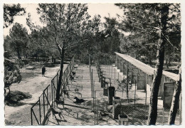 CPM - SALON (B Du R) - Refuge Pour Bêtes Abandonnées SPA Roc-Fleuri - Salon De Provence