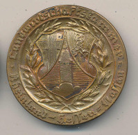 Medaille Für Leistungen Im Weinbau, Landwirtschaftsakademie Hessen-Nassau, D 50mm Br Vz- - Other & Unclassified