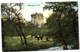 Blarney Castle - Cork