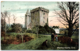 Blarney Castle - Cork - Cork