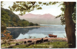 At Innisfallen - Killarney - Kerry