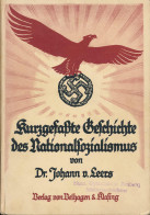 Kurzgefaßte Geschichte Des Nationalsozialismus, Dr. Johann V. Lees, Velhagen & Clasing 1933, 116 Seiten, Selten!! - Otros & Sin Clasificación