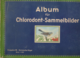 Chlorodont Sammelalbum III Heimische Vögel 120 Bilder, Erh. II- - Sonstige & Ohne Zuordnung