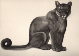 Grande Gravure  De GEORGES LUCIEN   GUYOT   :puma  (CAT6225) - Art Nouveau / Art Déco