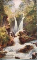 MISCELLANEOUS ART - STOCK GHYLL FORCE, AMBLESIDE  Art641 - Ambleside