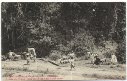 Afrique Occidentale - Guinée - Route Du Niger - Sur Les Bords Du Konkouré - Guinée Française