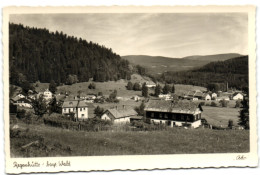 Regenhütte - Bayr. Wald - Regen