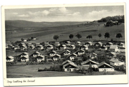 Berg-Siedlung Bei Zwiesel - Zwiesel