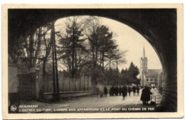 Beauraing - L'Entrée Du Parc - L'Arbre Des Apparitions Et Le Pont Du Chemin De Fer - Beauraing