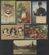 COLLECTION Of Cards (268) In Two Old Albums Incl. Comic, Cats, Greetings, Children, Charlie Chaplin, Birds, N.E England  - Non Classificati