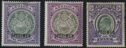 1903-07 CCC 2s, 2/6d & 5s, Each Optd SPECIMEN, SG.38s/40s. - Andere & Zonder Classificatie