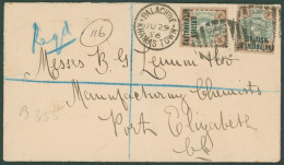 1896 (29 Jun) Envelope Registered To Port Elizabeth, Bearing 1891 4d (2) Tied By '676' Barred Numeral With 'PALACHWE/KHA - Sonstige & Ohne Zuordnung
