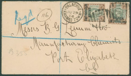 1896 (29 Jun) Envelope Registered To Port Elizabeth, Bearing 1891 4d (2) Tied By '676' Barred Numeral With 'PALACHWE/KHA - Autres & Non Classés