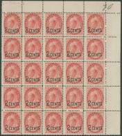 1899 2c On 3c Rose Carmine Upper Right Corner Marginal Block Of Twenty Five, Fresh UM, Lower Five Stamps With Horizontal - Other & Unclassified