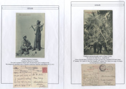 PPC's Large Collection Written Up On Display Leaves, From QV To 1960's (mainly Earlier) Depicting Scenes In Colombo, Mt. - Altri & Non Classificati