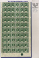 1921-32 MSCA 3c Green In A Complete Plate (1) Right Pane Of Sixty, UM, SG.339, Cat. £330 - Other & Unclassified