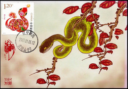 2013-1 CHINA YEAR OF THE SNAKE MC-Y - Tarjetas – Máxima