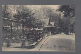 Bruxelles - Bois De La Cambre - Pavillon De La Laiterie - Postkaart - Forêts, Parcs, Jardins