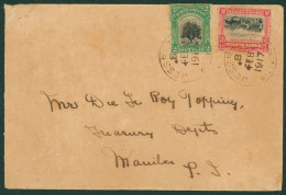 1917 Envelope To Manila, Franked Pictorial 2c & 8c Paying The 10c U.P.U Rate, Tied By 'JESSELTON/8/FEB/1917' C.d.s's And - Autres & Non Classés