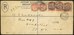 1896 (9 Oct) 4d (size H2) Registered Envelope To New York, Uprated With 1896-97 Large Arms 1d Pair And 6d Strip Of Three - Other & Unclassified