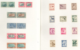 1937 M Collection On Leaves Incl. 1937 Coronation, 1938 Voortrekker Sets, 1941 War Effort Sets, 1954 & 1960 Animals Defi - Other & Unclassified