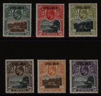 1903 CCC Set Of Six, Optd SPECIMEN, Fine M, Odd Short Perf, SG.55s/60s, Cat. £275. (6) - Autres & Non Classés