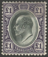 1904-09 MCCA £1 Green & Violet, Fine M, Gum Slightly Toned, SG.372a, Cat. £300 - Other & Unclassified