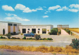 METAPONTO - MATERA - ANTIQUARIUM AL TEMPIO GRECO DELLE TAVOLE PALATINE - 1968 - Matera