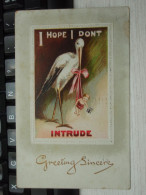 Cpa  Couleur  Winnipeg -  I Hope I Dont - INTRUDE - 1910 - Winnipeg