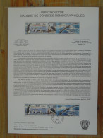 Document Officiel FDC Ornithologie Manchot De Terre Adélie Albatros TAAF 2000 - Pinguini