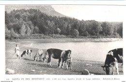 POSTAL    SANTA FE DEL MONTSENY  -BARCELONA   -LAS AGUDAS DESDE EL LAGO INFERIOR  ( EDIC.J. RIERA ) - Barcelona