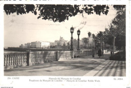 POSTAL    CADIZ  -ANDALUCIA  -ALAMEDA DEL MARQUES DE COMILLAS  (ED.AISA) - Cádiz
