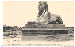 POSTAL   28.- ALEXANDRIA  -EGIPTO    - ESFINGE ENCONTRADA RECIENTEMENT EN PILAR DE POMPEYA - Alexandrie