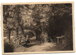 Pensionnat Des Ursulines - Haute-Croix (Brabant) - Une Vue Du Parc - Pepingen