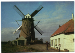 Terdegham (59114 Steenvoorde) - Steenmeulen Ou Moulin St-Arnould 1864 - Steenvoorde