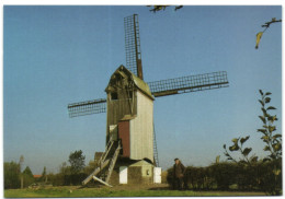 Steenvoorde (59114) - Drievenmeule - Steenvoorde