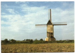 Steenvoorde (59114) - Noordmeulen - Steenvoorde