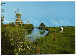 Mühle In Ostfriesland - Zwillingsmühlen - Aurich