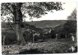 Trois-Ponts S/Salm - La Vallée De L'Amblève Vers Coo Vue Des Hezalles - Trois-Ponts