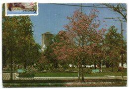 Asuncion - Paraguay - Plaza Juan De Salazar - Paraguay