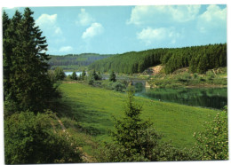 Bütgenbach Und Umgebung - Butgenbach - Buetgenbach