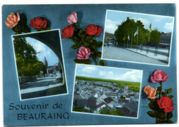 Souvenir De Beauraing - Beauraing