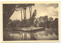 Rotselaar - Dijle En Watermolen Van Rotselaar (foto 1948) - Rotselaar