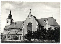 Kortenberg - St. Amandskerk - Kortenberg